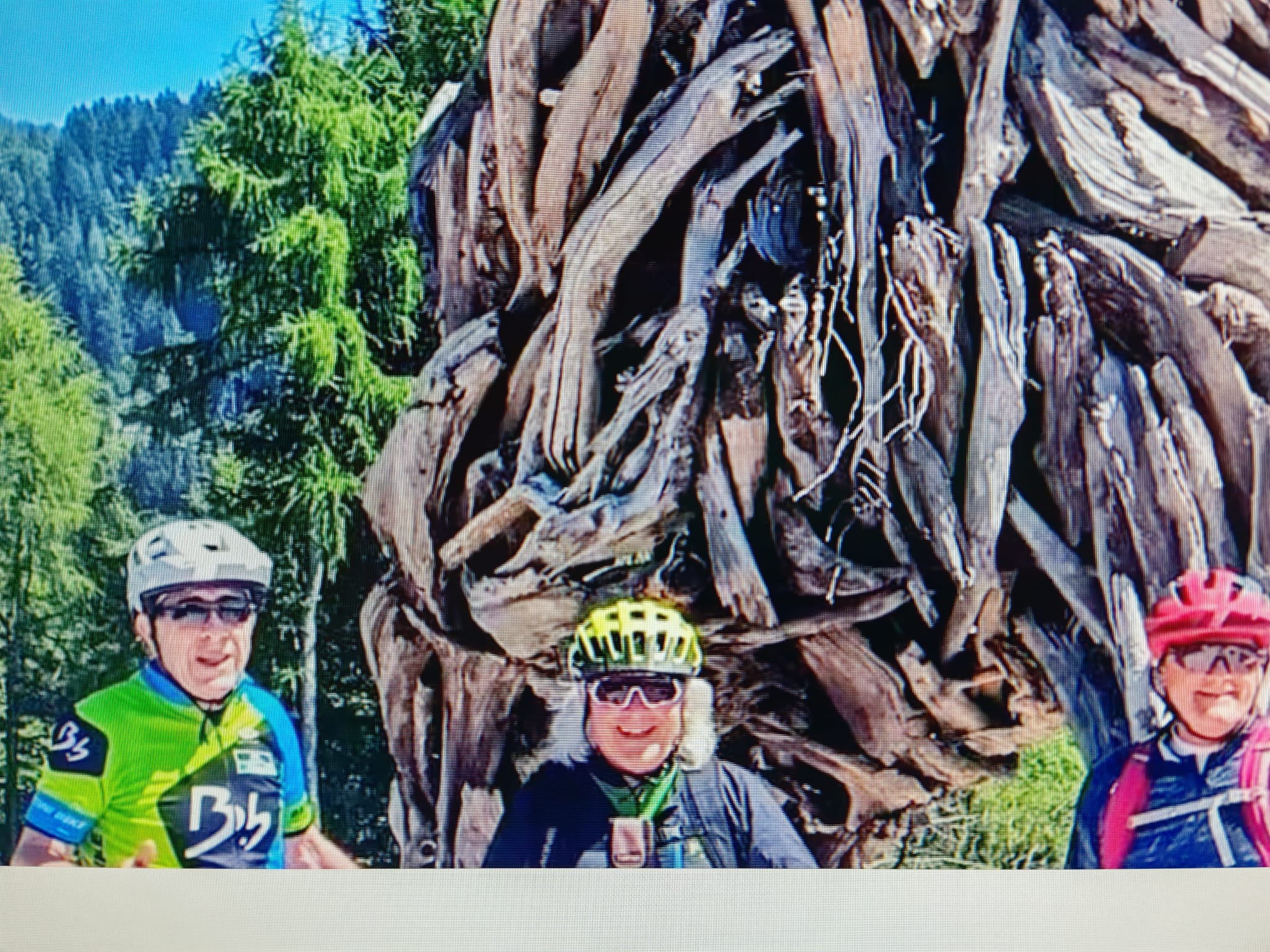 Dolomiti Super Trail Guides